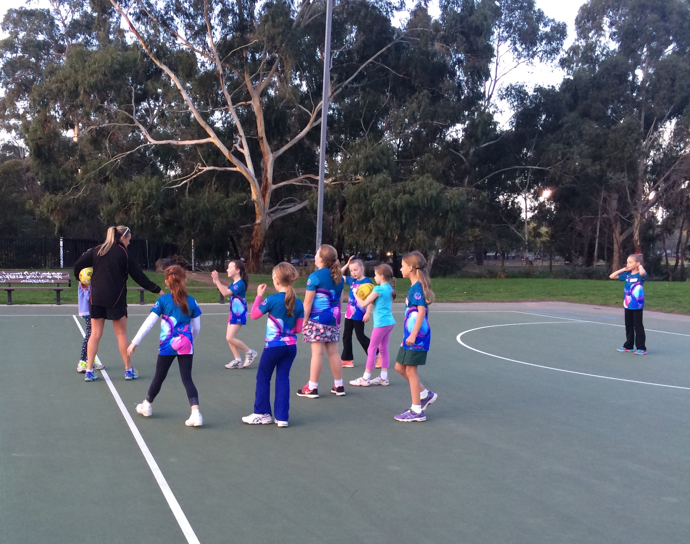 NetSetGo! | Diamond Creek Netball Club